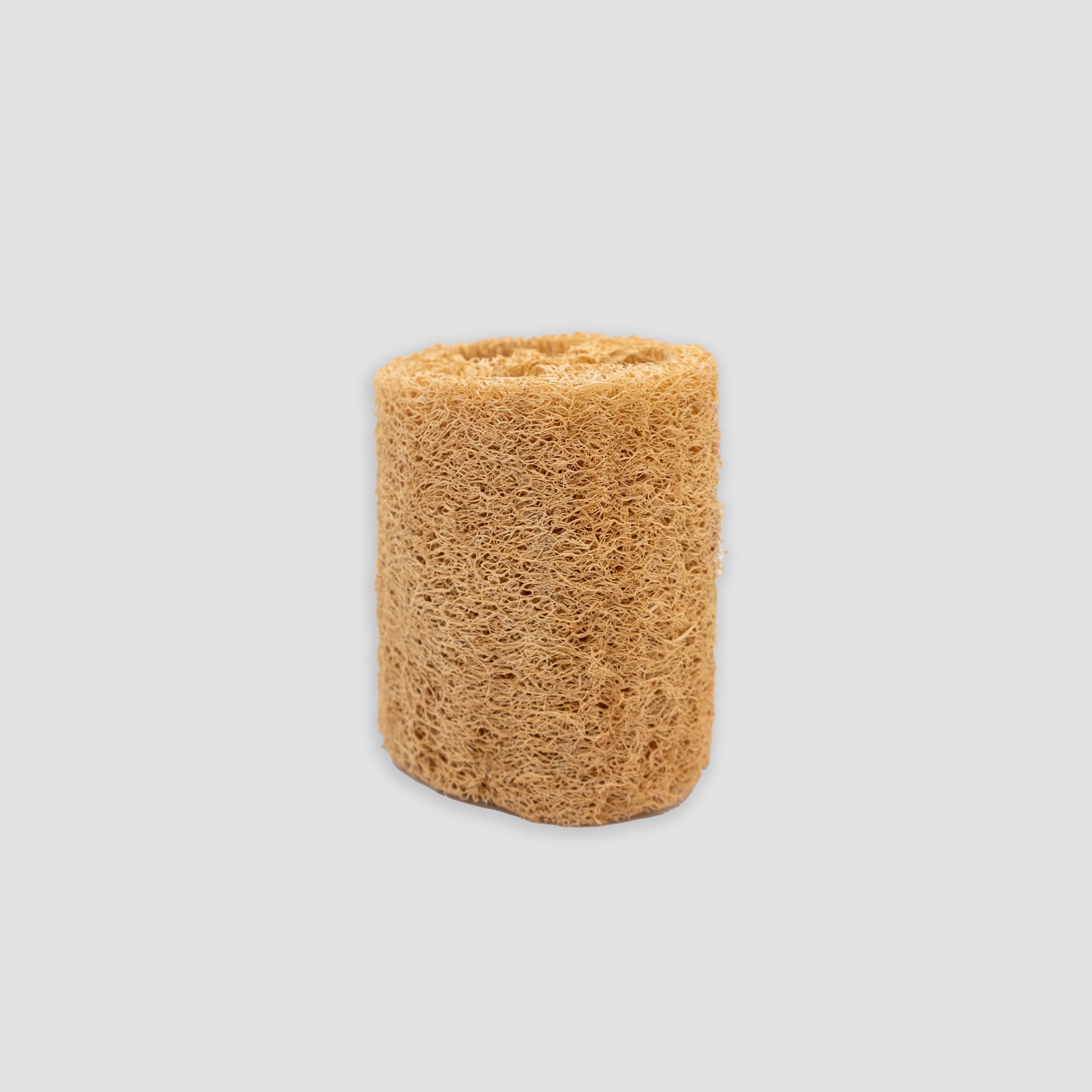 Loofah