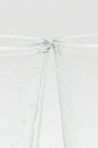 SUHU SUHU Taiwanese Beer Cup