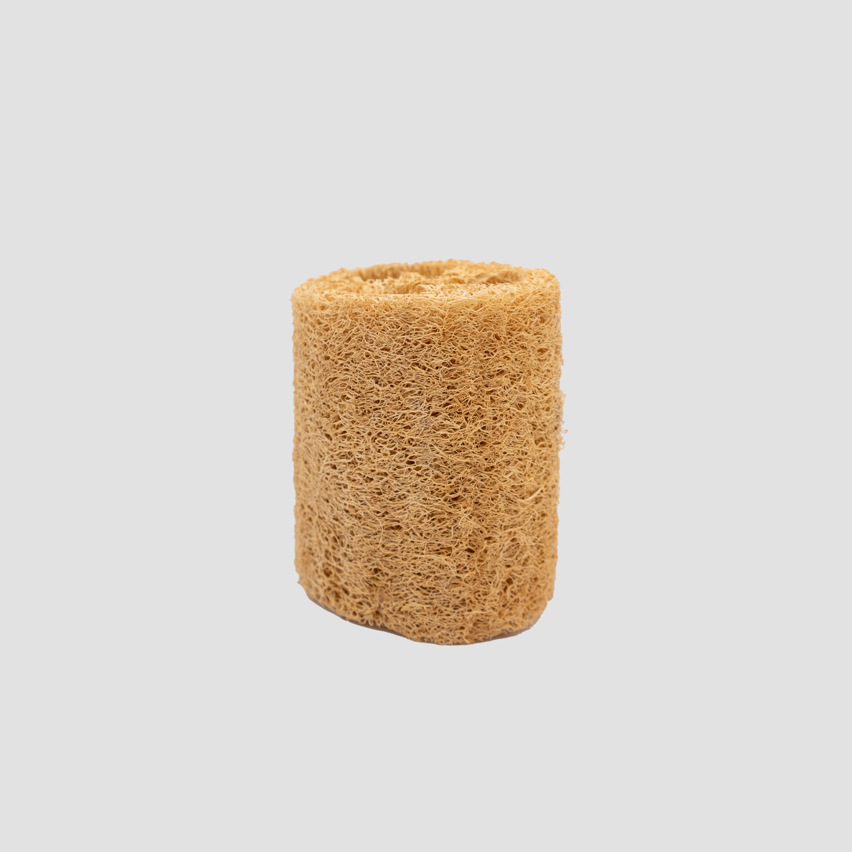 Loofah